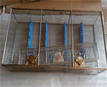 器械托盤-器械（xiè）打包籃-不鏽鋼清洗籃