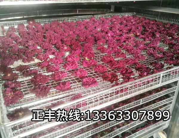 不鏽鋼玫瑰（guī）花烘烤盤